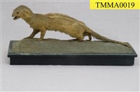 Crab-eating Mongoose Collection Image, Figure 10, Total 13 Figures